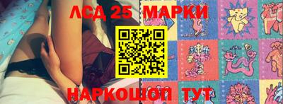 PSILOCYBIN Можга