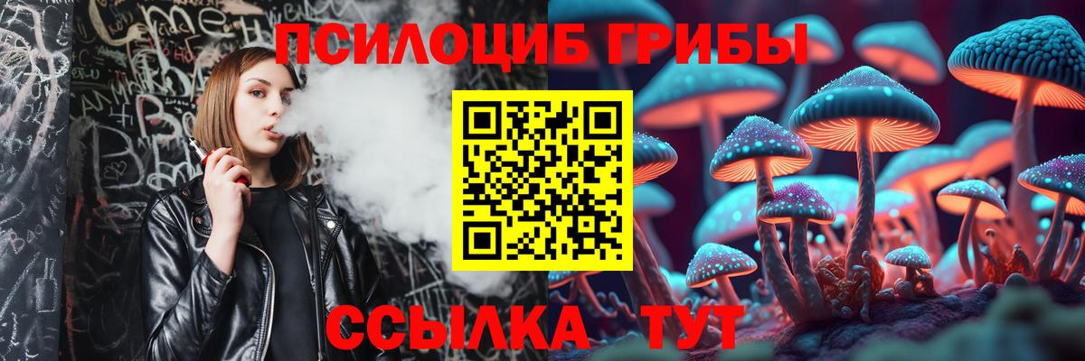 Галлюциногенные грибы прущие грибы Жигулёвск