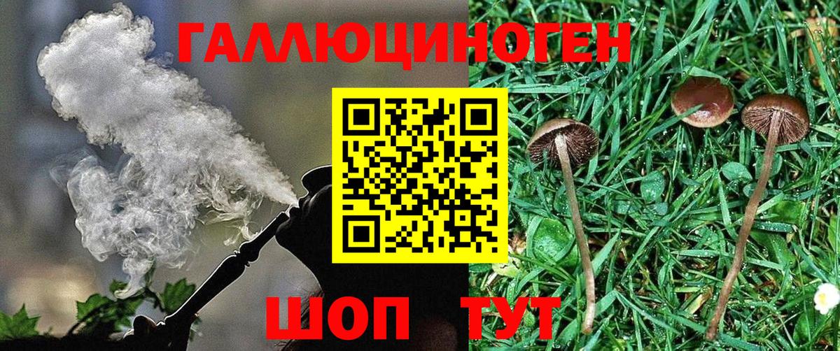 Галлюциногенные грибы ЛСД  Жигулёвск  Галлюциногенные грибы ЛСД 