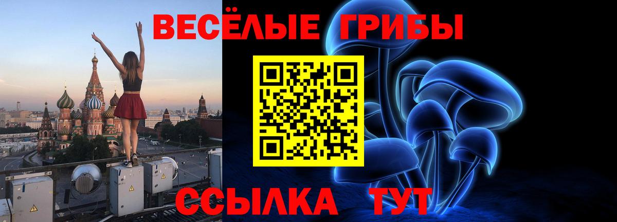 Жигулёвск  Псилоцибиновые грибы MAGIC MUSHROOMS  Псилоцибиновые грибы Psilocybe  Вход с VPN 